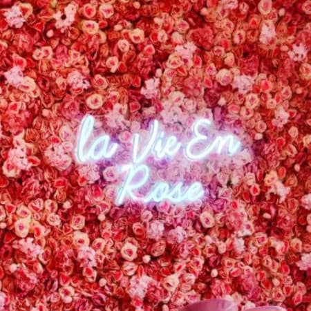 La Vie En Rose Restaurant | Bulbula cover