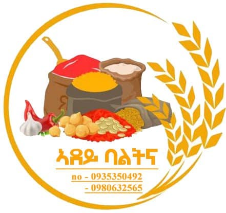 አደይ ባልትና cover
