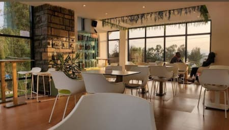 Wild Coffee | Bole cover