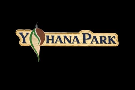 Yohana Park cover