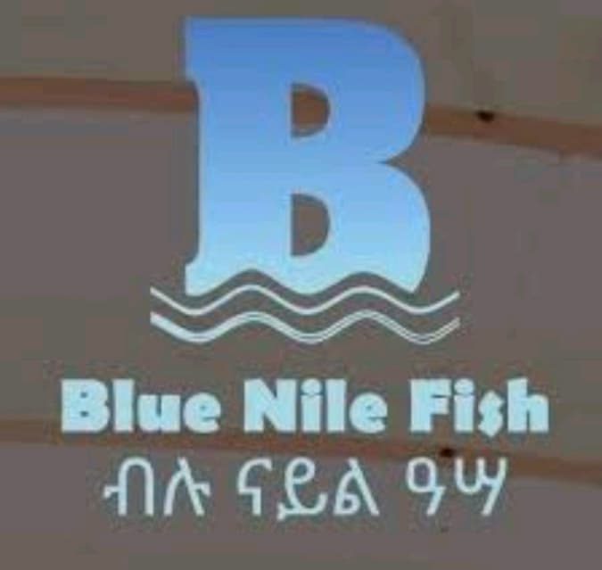 Blue Nile Fish logo