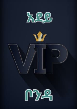 አደይ ቦንዳ logo