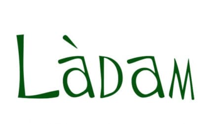 Ladam logo
